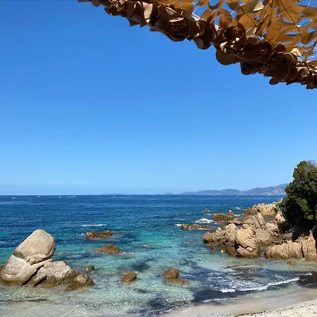 Stella Mare à Appartement Porticcio (Corsica)